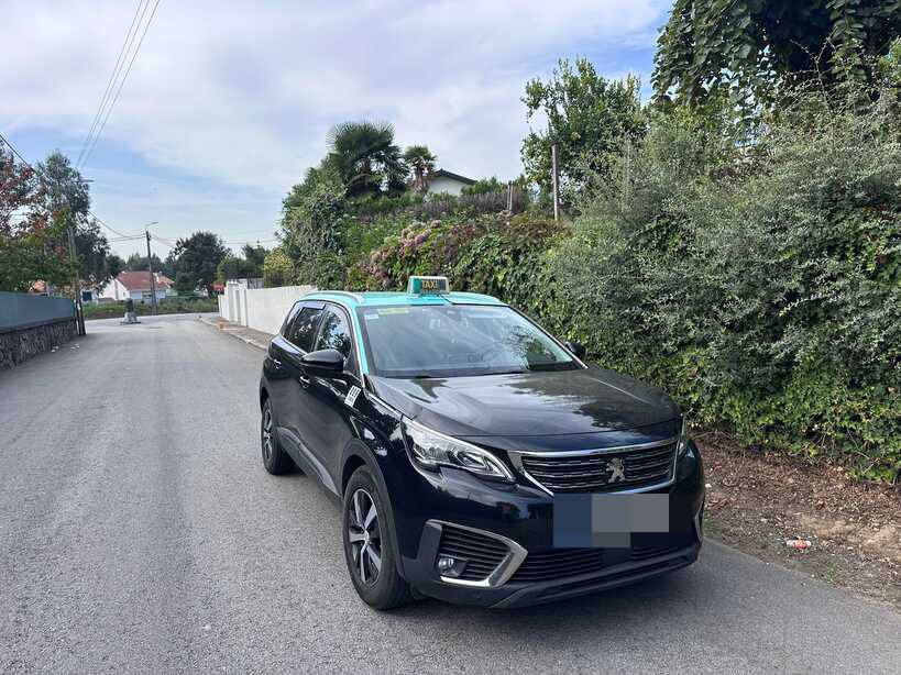 Renault Grand Scenic 2019